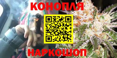 гидропоника Нальчик